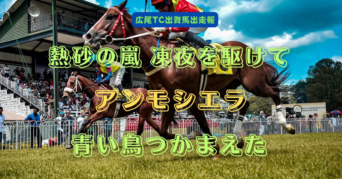 熱砂の嵐 凍夜を駆けて　アンモシエラ　青い鳥つかまえた